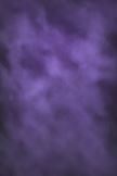 Iris Purple